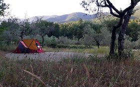 Agricampeggio Borgo Agna