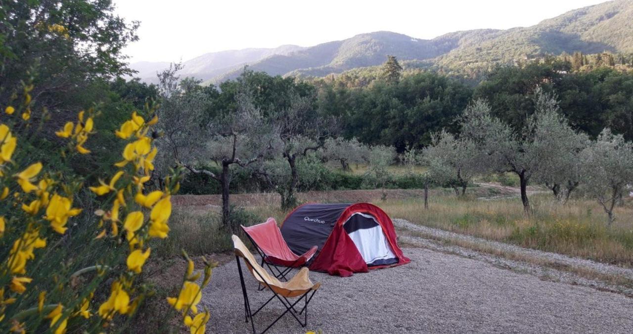 Agricampeggio Borgo Agna San Giustino Valdarno Exterior foto